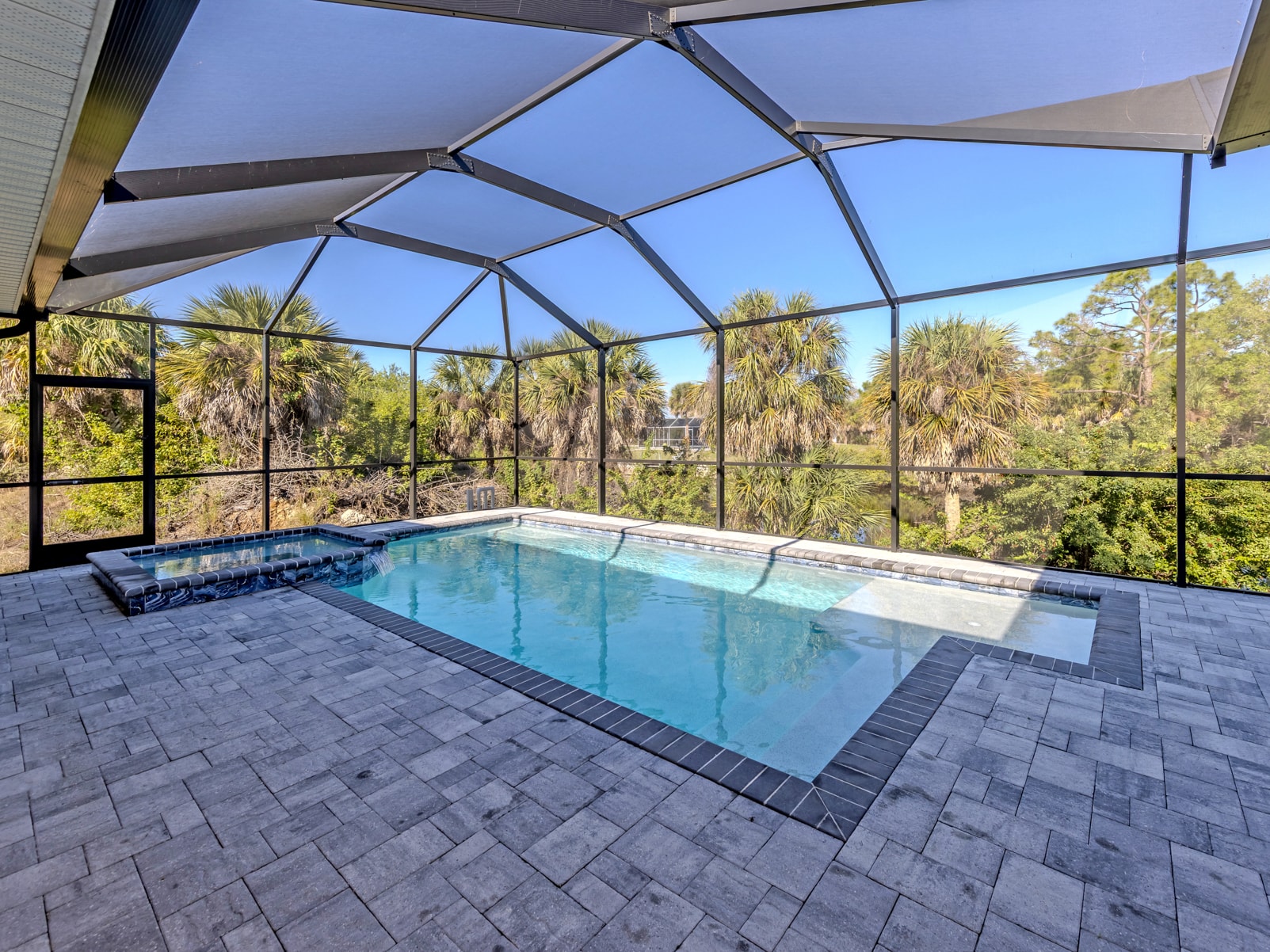 Screened pool lanai with spa and palm tree views